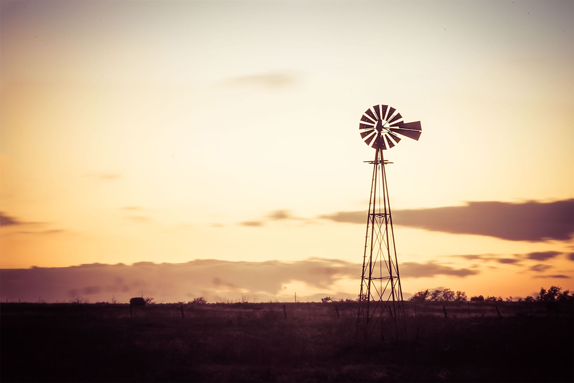 A video of a wind mill in the plains